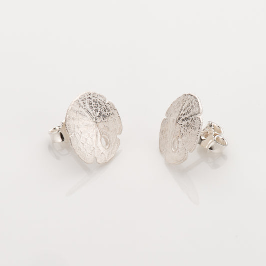 Ohrstecker Sanddollar