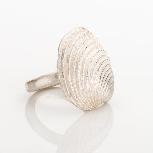 Ring Muschel
