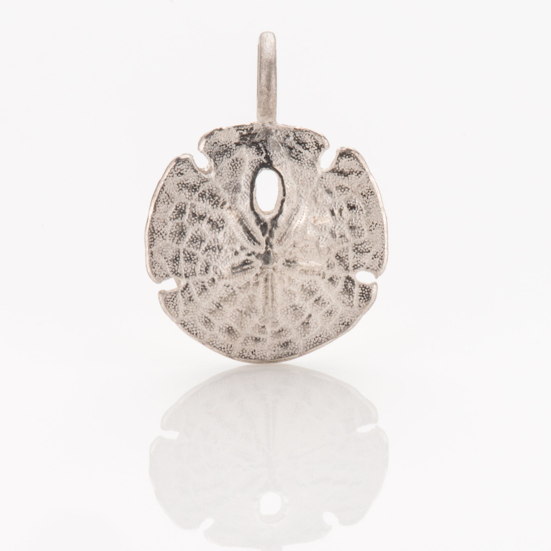 Ohrstecker Sanddollar