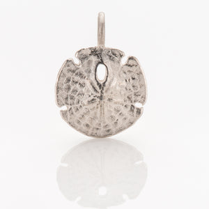 Ohrstecker Sanddollar