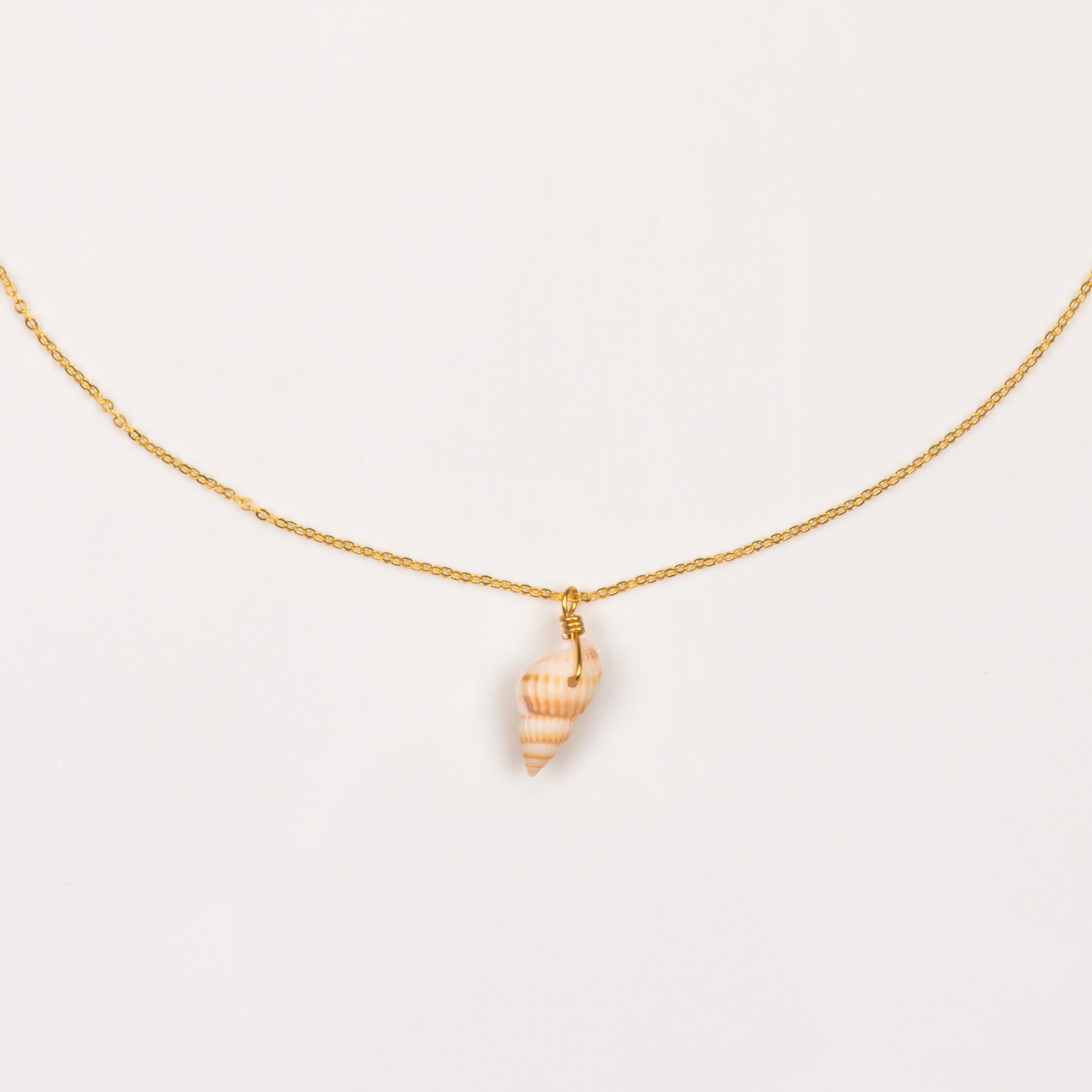 Collier Muschel
