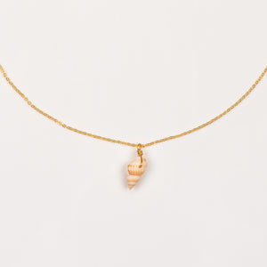 Collier Muschel
